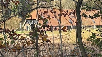 Unterkunftsgelände