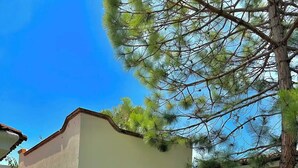 Una pequeña construcción con techo plano, una ventana y una puerta.