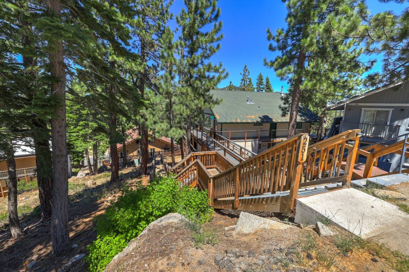 A wooden staircase leading to a building with a green roof, surrounded by trees.