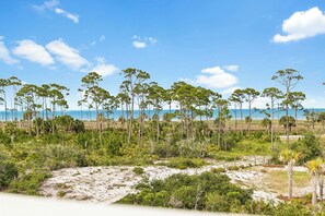A coastal landscape with trees and a beach.