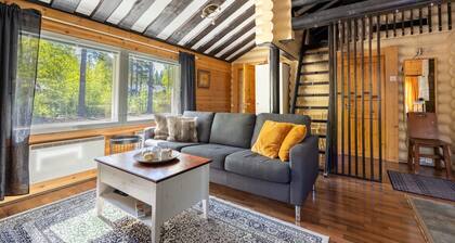 Villa Succa | Sauna & Fireplace | Near Ski Slopes