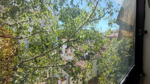 A view through a window with a tree in the foreground and a building with a red-tiled roof in the background. - Piazzale Unità d'Italia 3B (Udine)