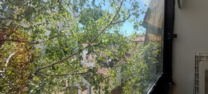 Vista a través de una ventana, con un árbol en primer plano y un edificio con tejado rojo al fondo.
