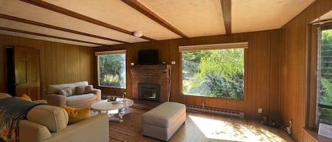 Televisión y chimenea
