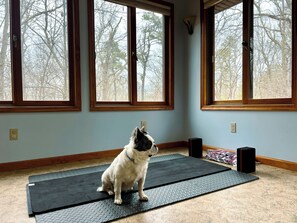 Une pièce avec de grandes fenêtres, un tapis de yoga, un chien et un haut-parleur.