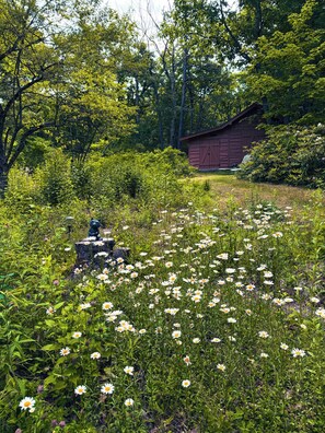 A garden with a red shed, a bear statue, and a variety of flowers.