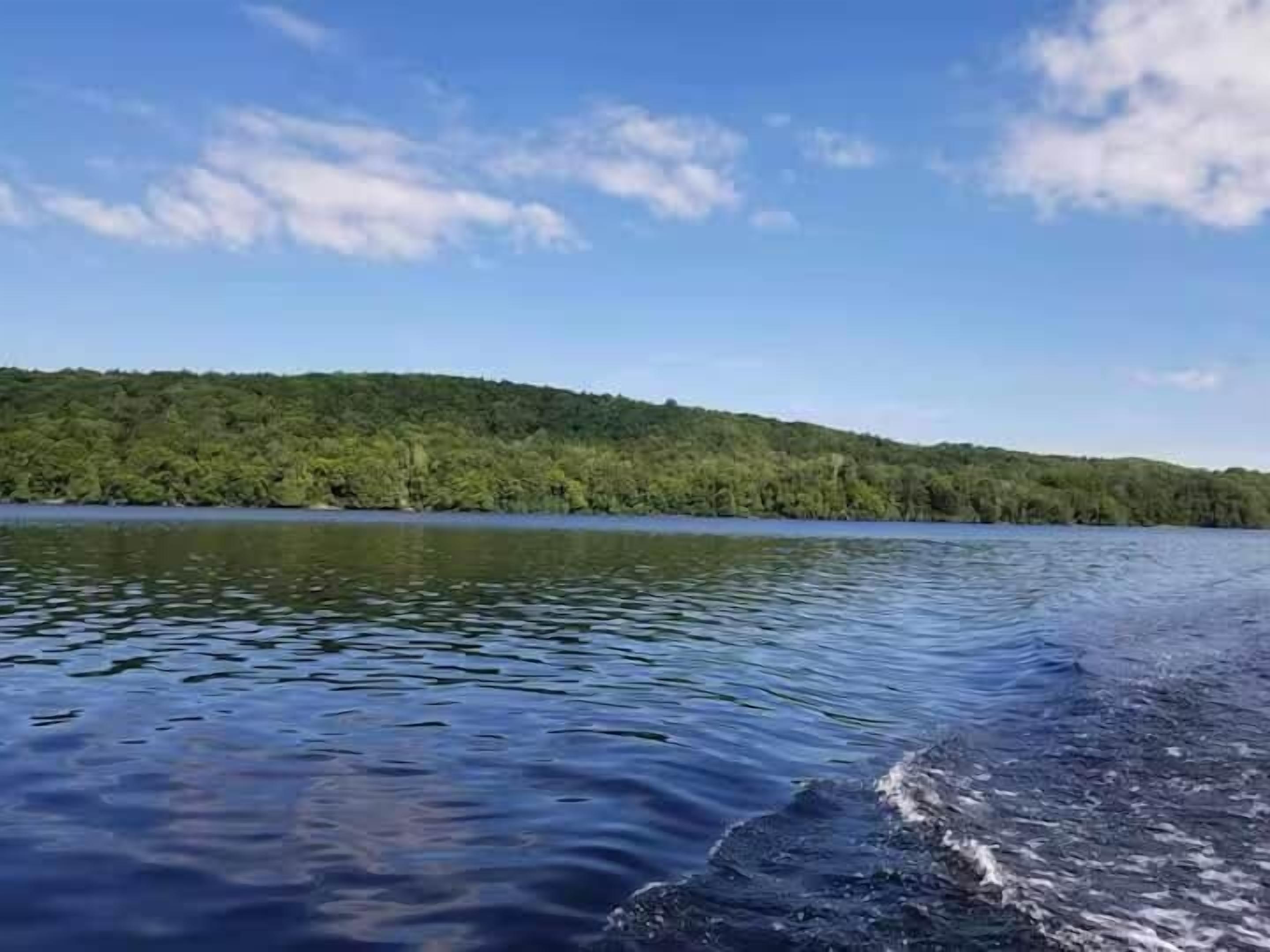 A calm lake with a forested shoreline and a clear sky.