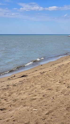 Ranta
