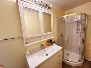 Hair dryer, towels, soap, toilet paper - Richmond Airport Cozy Holiday House with free shuttle (Richmond)