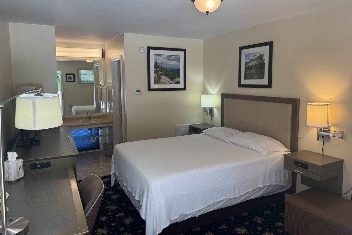 Basic Single Room
