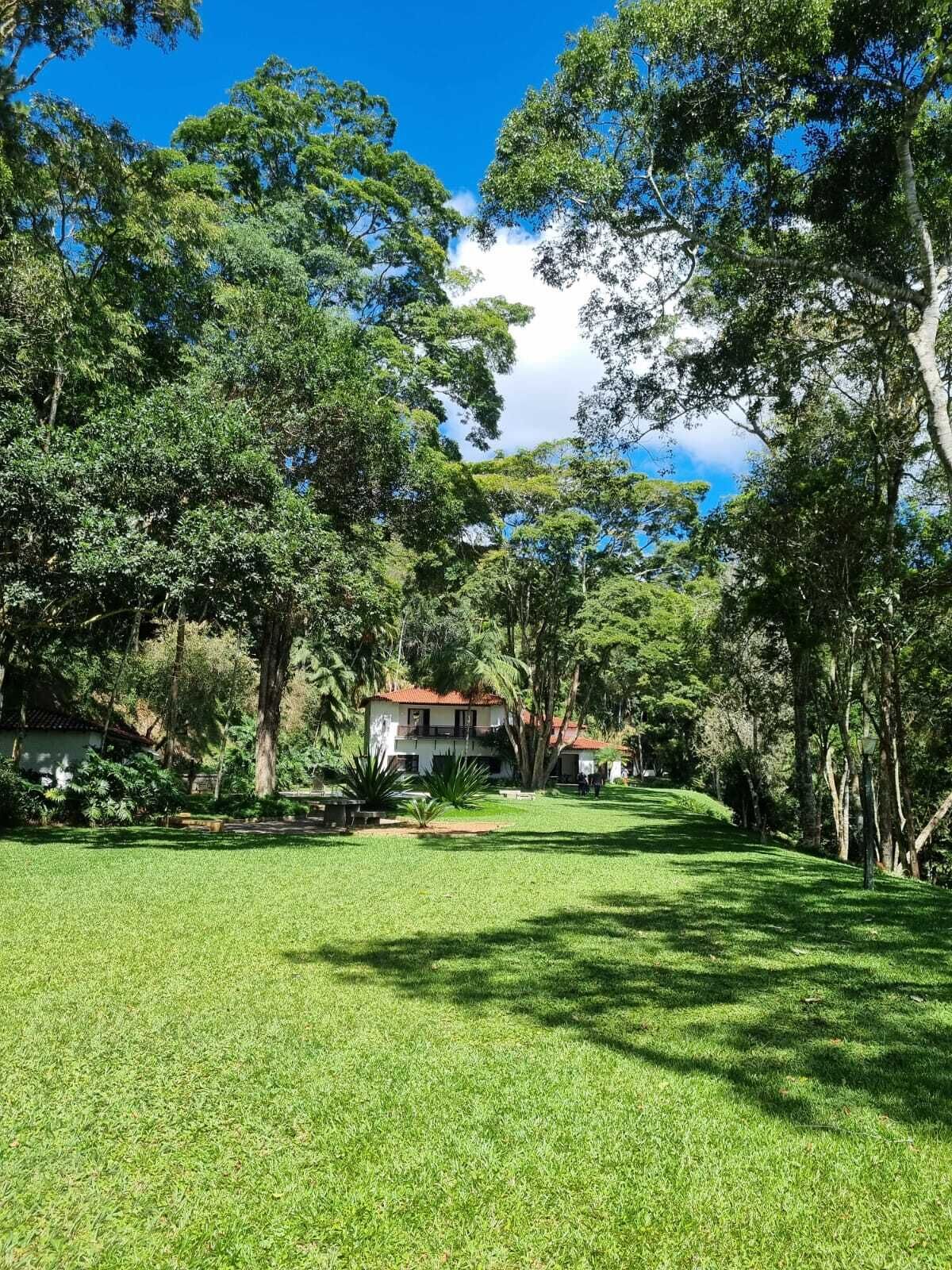 Un césped verde y frondoso con árboles y un edificio al fondo.