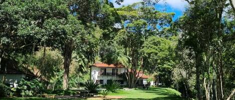 Un césped verde y frondoso con árboles y un edificio al fondo.