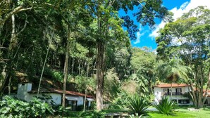 A lush garden with a pathway, a palm tree, and a building with a red roof. - Villa Casa Blanca (Teresópolis)