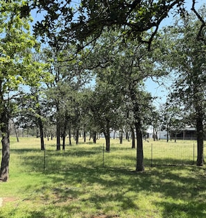 Miscellaneous - Sauna Hot Tub Fire Pit  one acre on 290 Wine Trail (Fredericksburg)