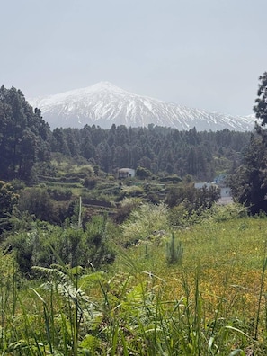 A mountainous landscape with a snow-capped peak, dense forest, and a few buildings in the valley. - Casa Regina: a place to enjoy nature and a unique setting. (Icod de los Vinos)