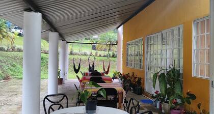 el jardin de los anturios