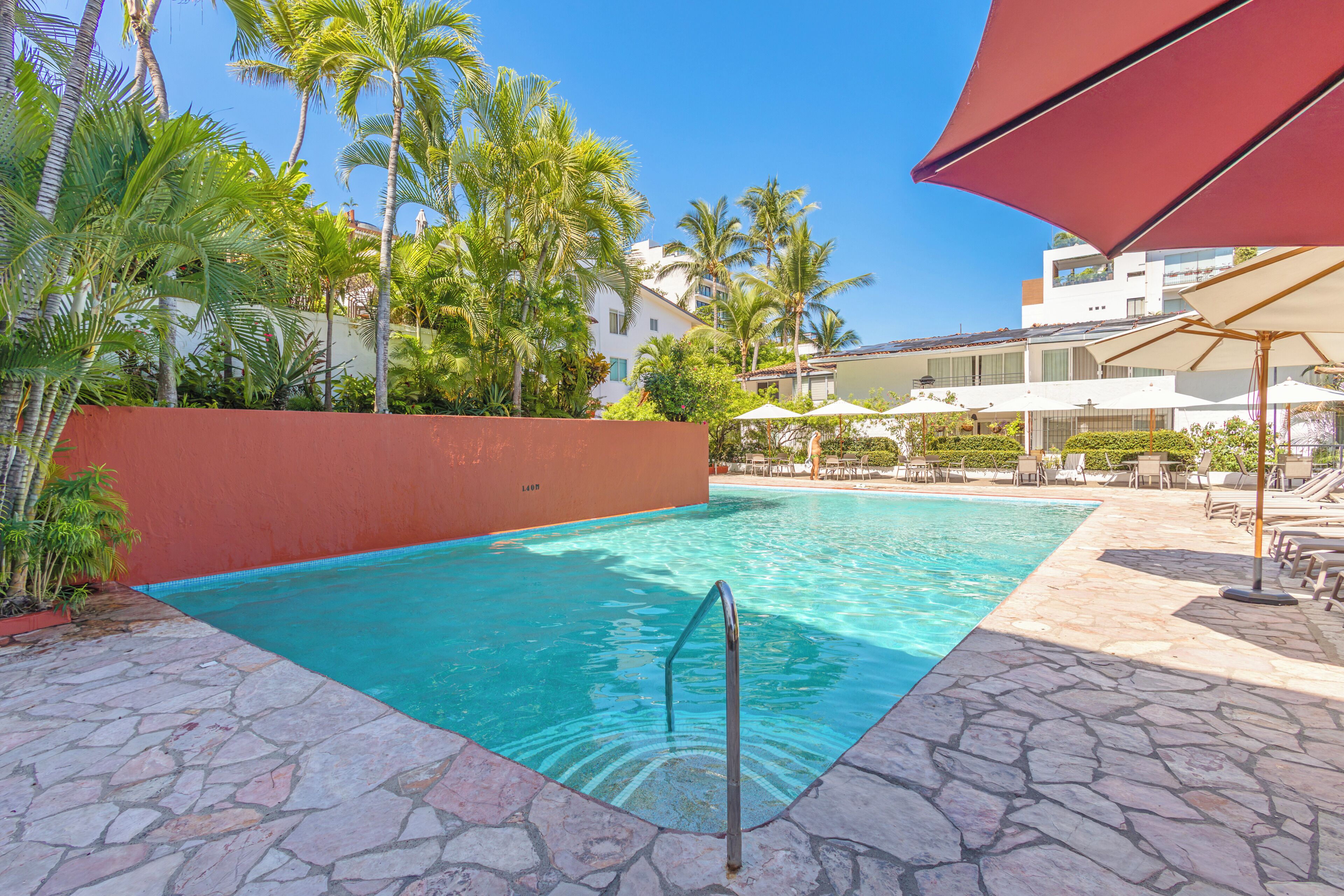 A swimming pool with a stone deck, palm trees, and lounge chairs.