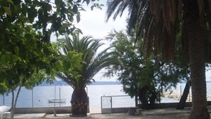 Zona de playa con una palmera, una valla y vista al mar.