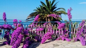 Vista costera con una palmera y flores moradas.
