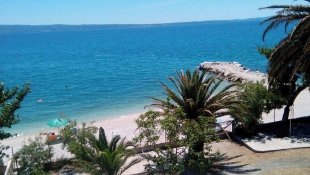 Una playa con aguas azules cristalinas, palmeras y una orilla arenosa.