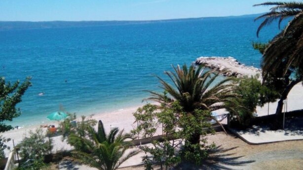 Une plage avec une eau d’un bleu limpide, des palmiers et une rive sablonneuse.