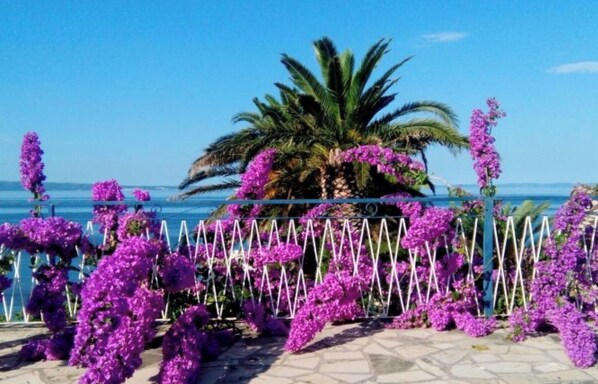 Property grounds - Triple Room with Balcony and Sea View (Podstrana)