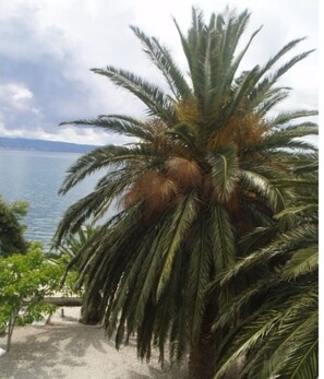 Property grounds - Triple Room with Balcony and Sea View (Podstrana)