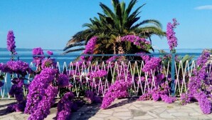A coastal view with a palm tree and purple flowers in the foreground.