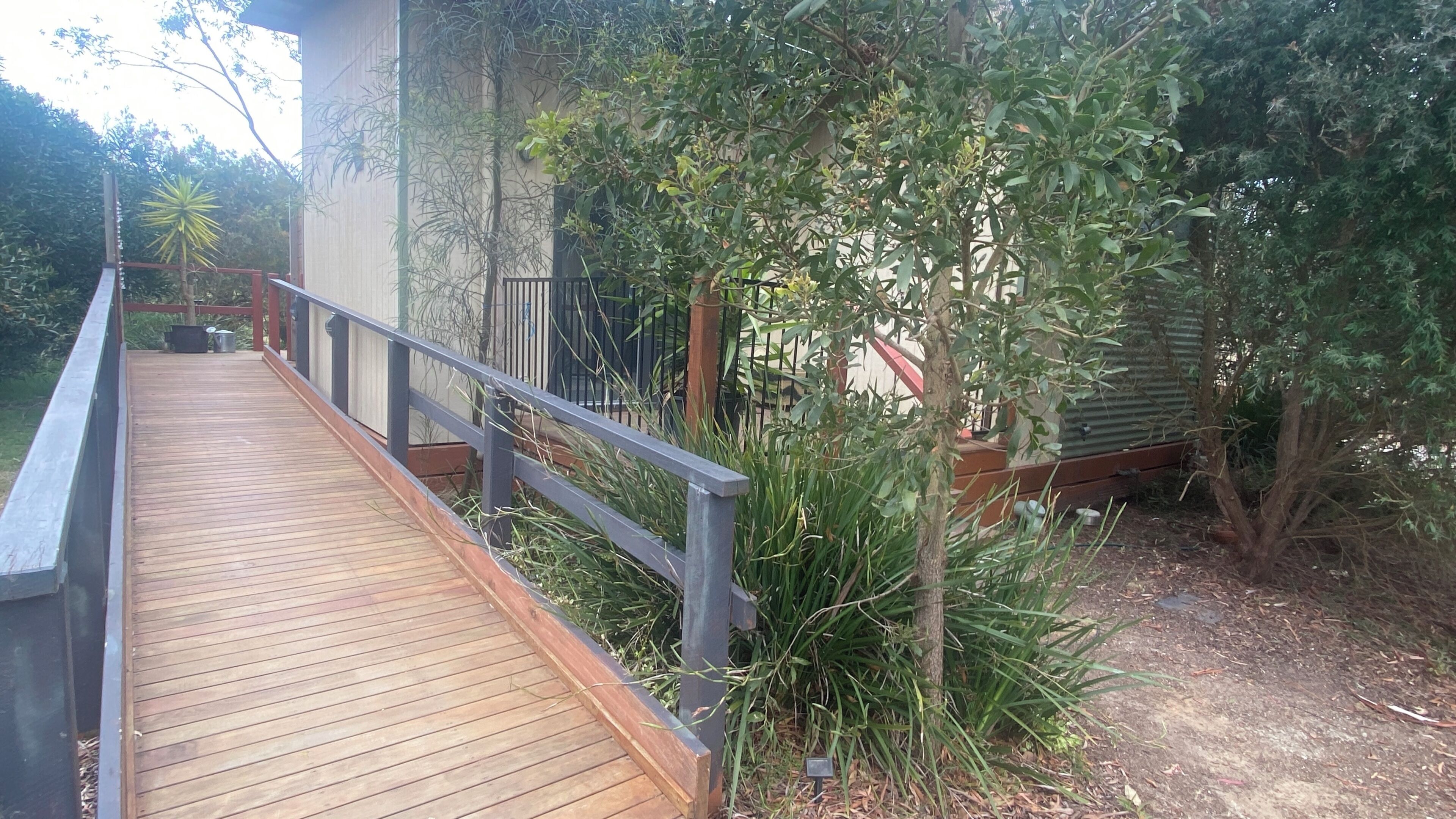 A wooden deck leading to a building with a metal railing, surrounded by dense greenery and a small tree.