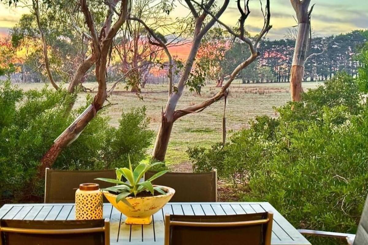 Una mesa con sillas y una planta en maceta, rodeada de follaje y árboles.