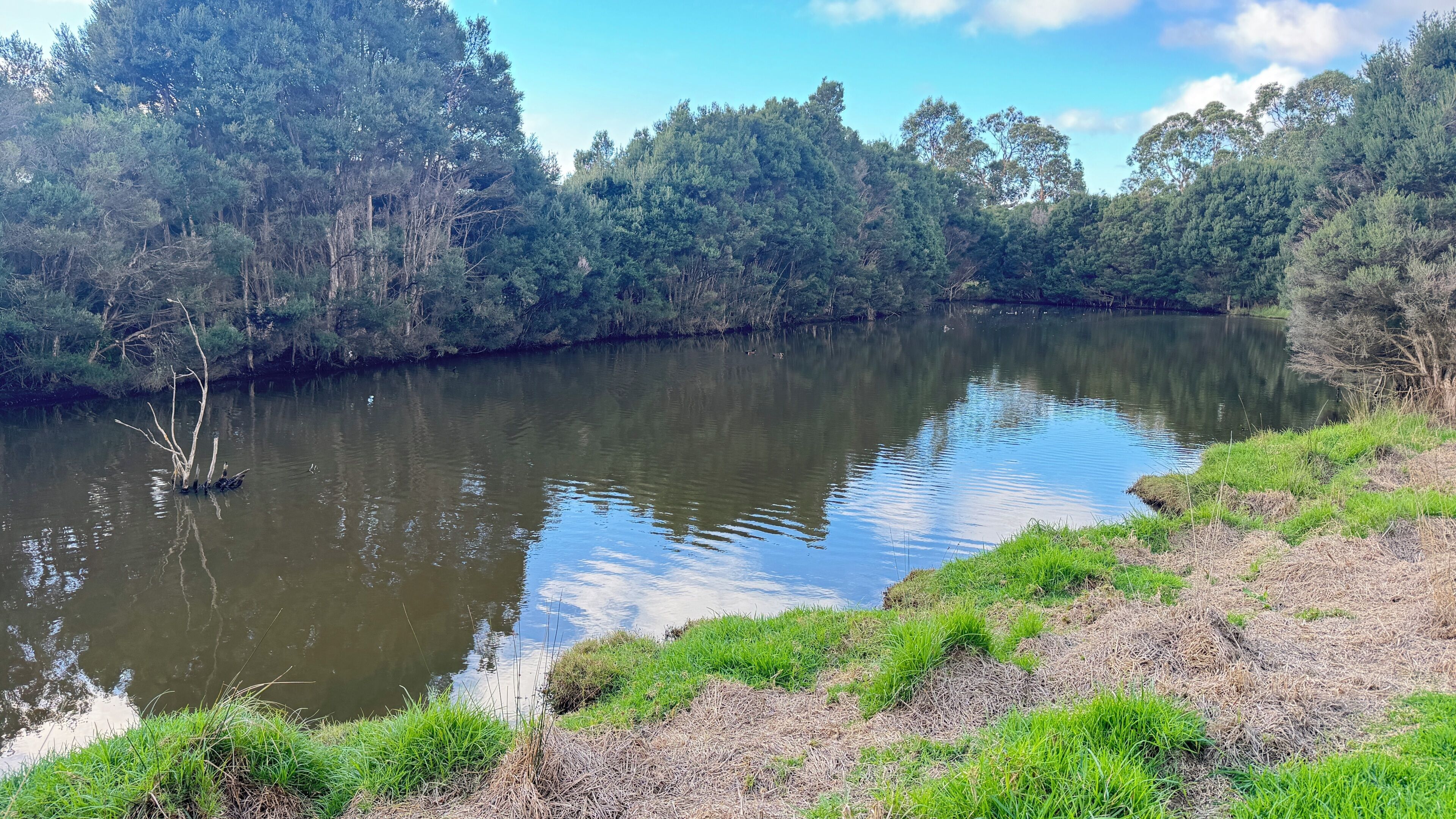 Un lago tranquilo rodeado de un bosque denso.