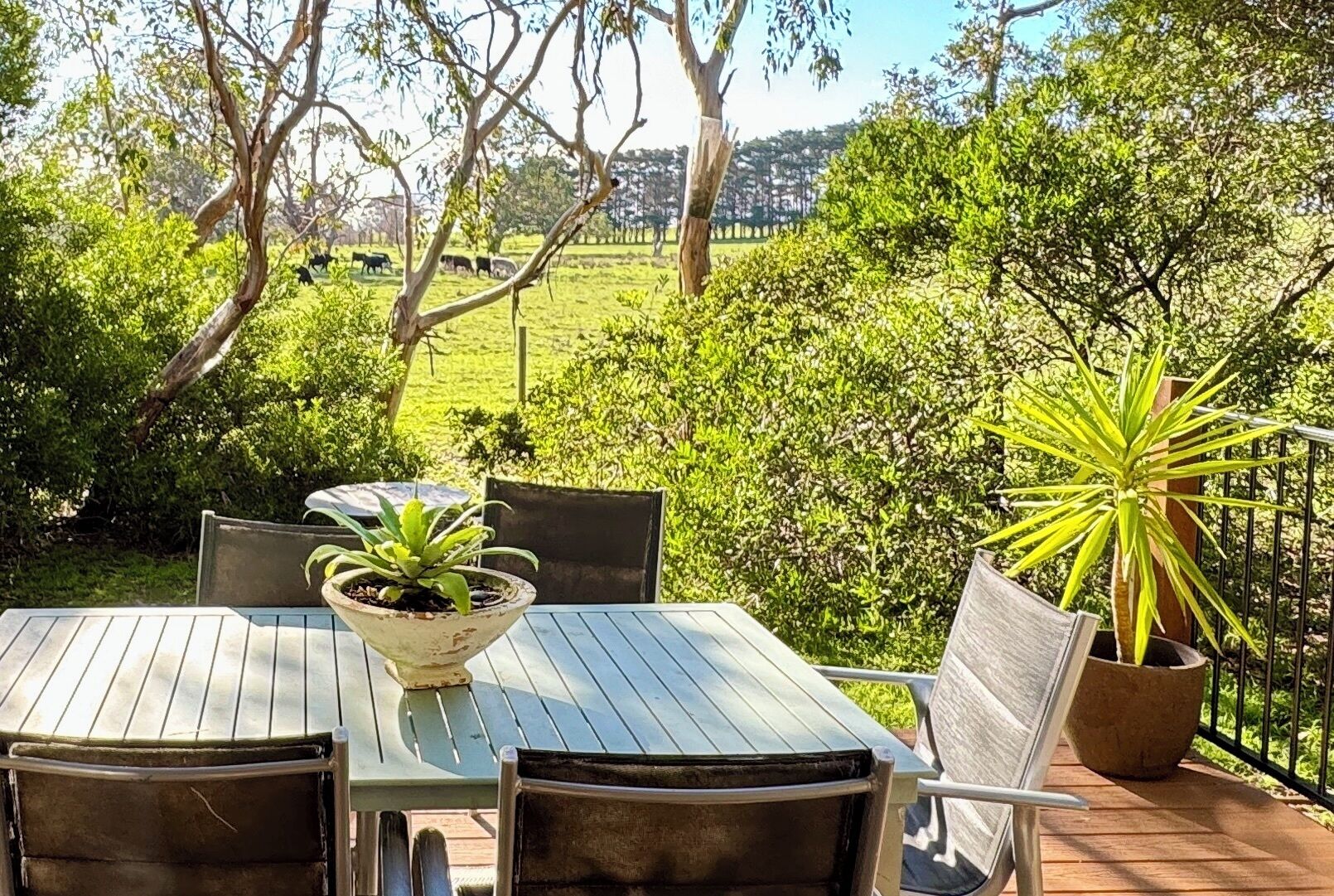 An outdoor patio with a table and chairs, surrounded by greenery and a view of a field.
