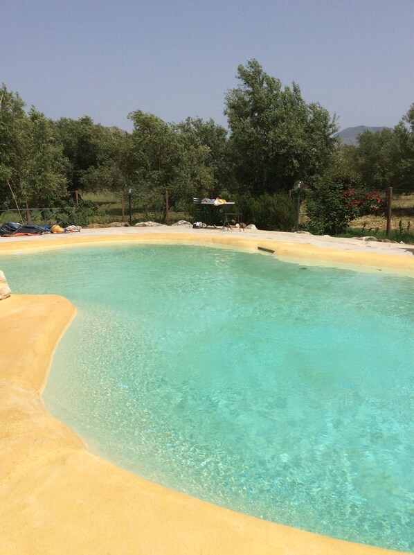 A clear pool with a sandy edge, surrounded by trees and a clear sky.