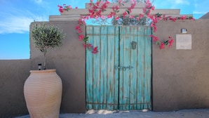 Een turquoise poort met een sleutelgat, een plant in pot en een bord met 'AER' op een muur.