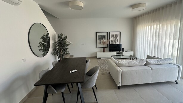Una sala de estar moderna con comedor, un sofá, un televisor y una planta en maceta.