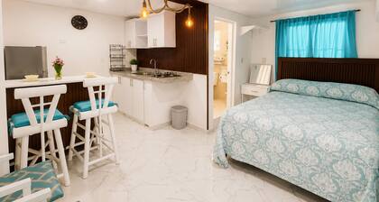 Local Living Studio Near Beaches & Downtown