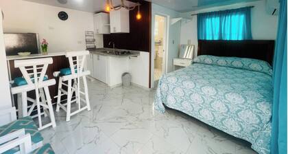 Local Living Studio Near Beaches & Downtown