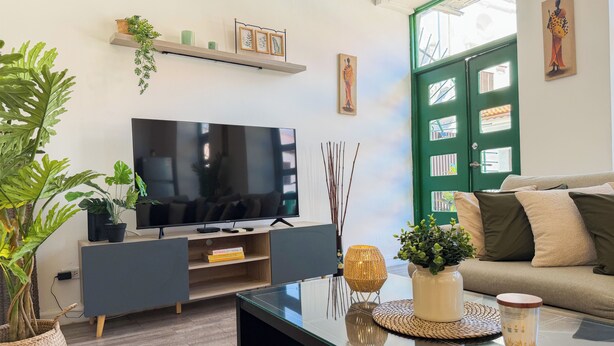 Een moderne woonkamer met een flatscreen televisie, een bank, een salontafel en decoratieve planten.