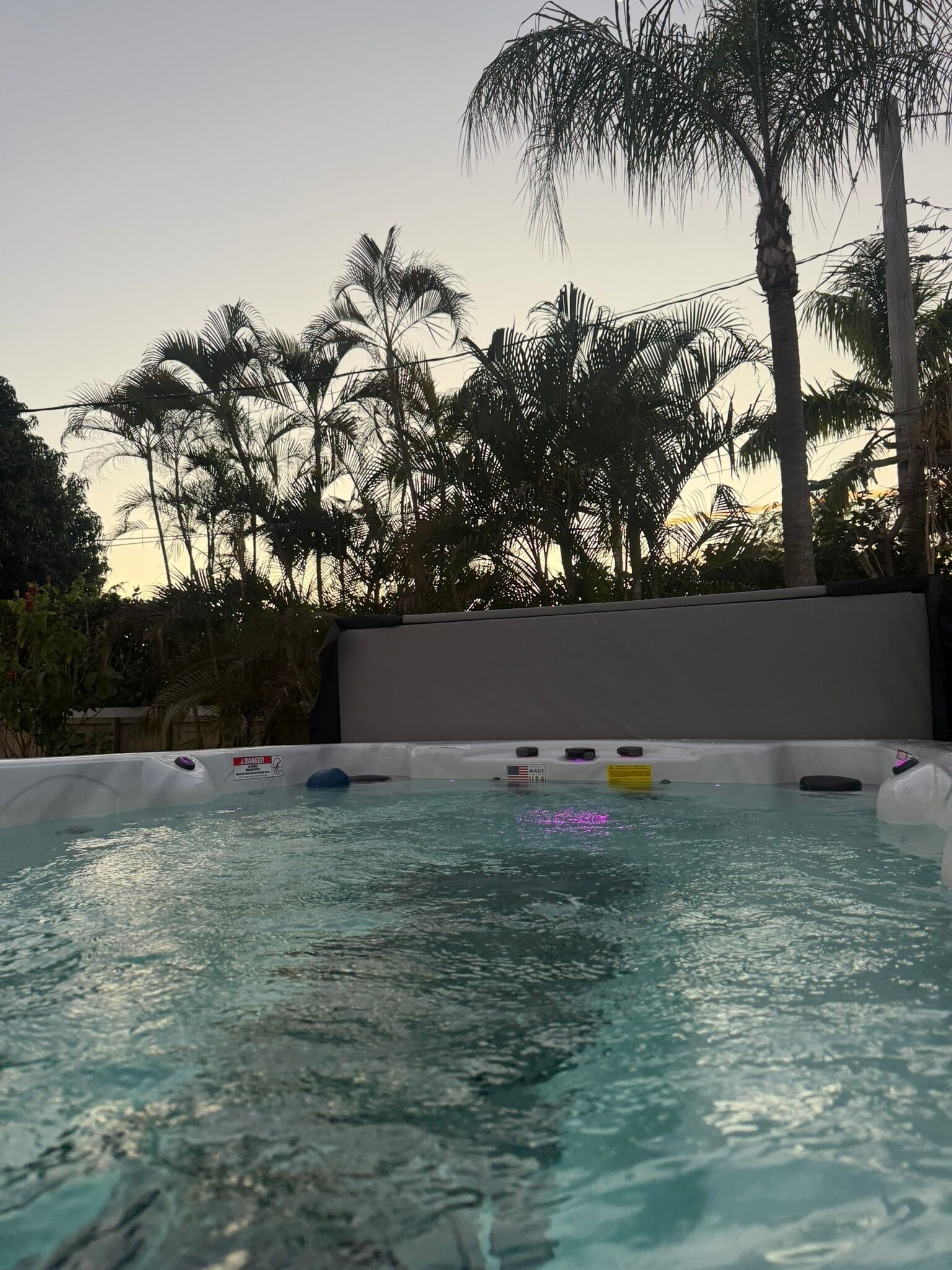 A hot tub surrounded by palm trees and a clear sky.