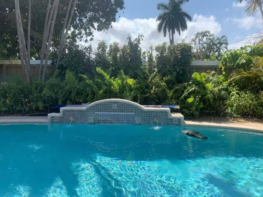 Outdoor pool