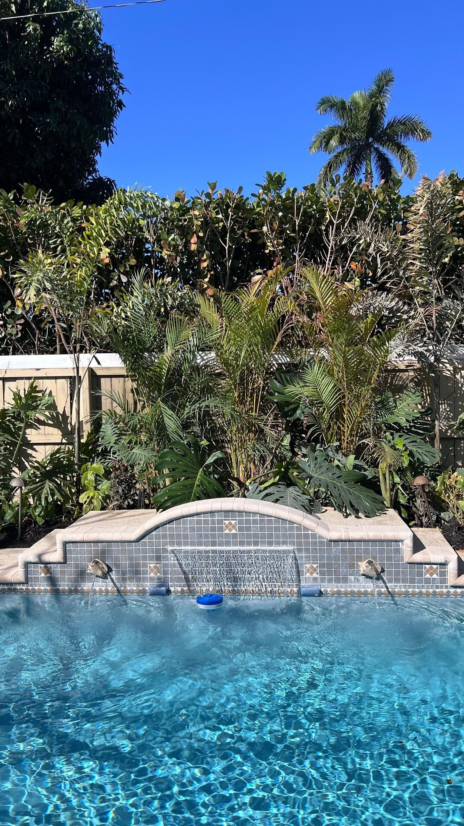 Una piscina con agua cristalina, rodeada de exuberante vegetación tropical y una pared de azulejos.