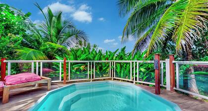 Robinson's Dream: A Treehouse with Ocean Views in the Heart of a Tropical Garden