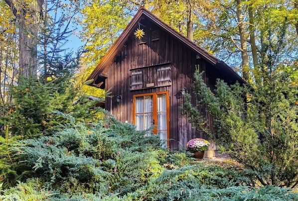 Ein rustikales Holzhaus, umgeben von dichten Nadelbäumen.
