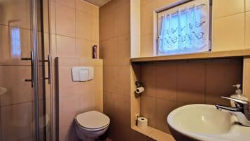 Shower, hair dryer, toilet paper