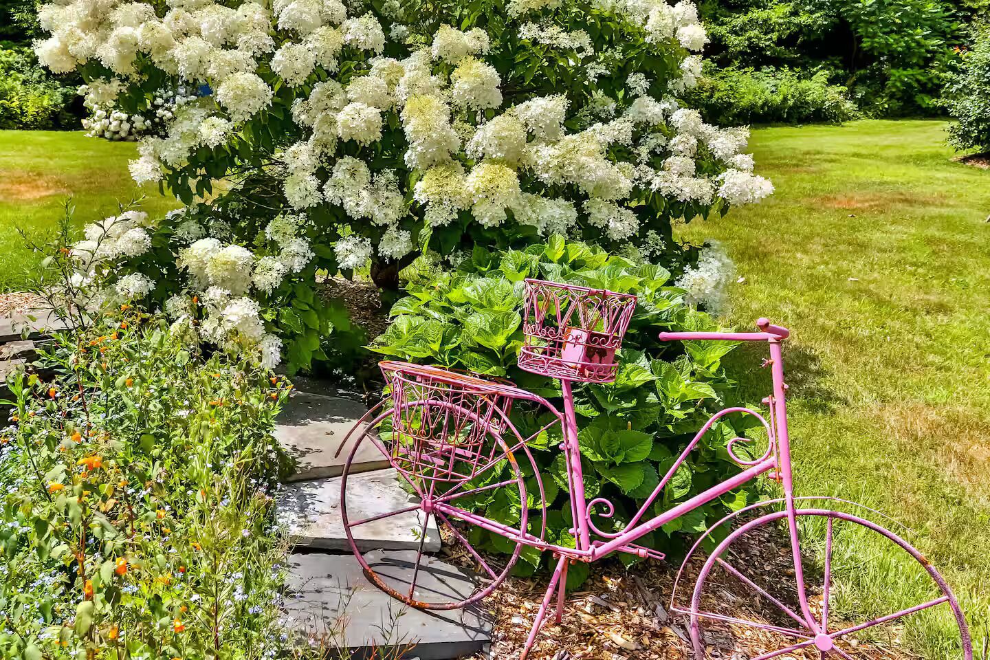 A pink bicycle with a basket in a garden setting.