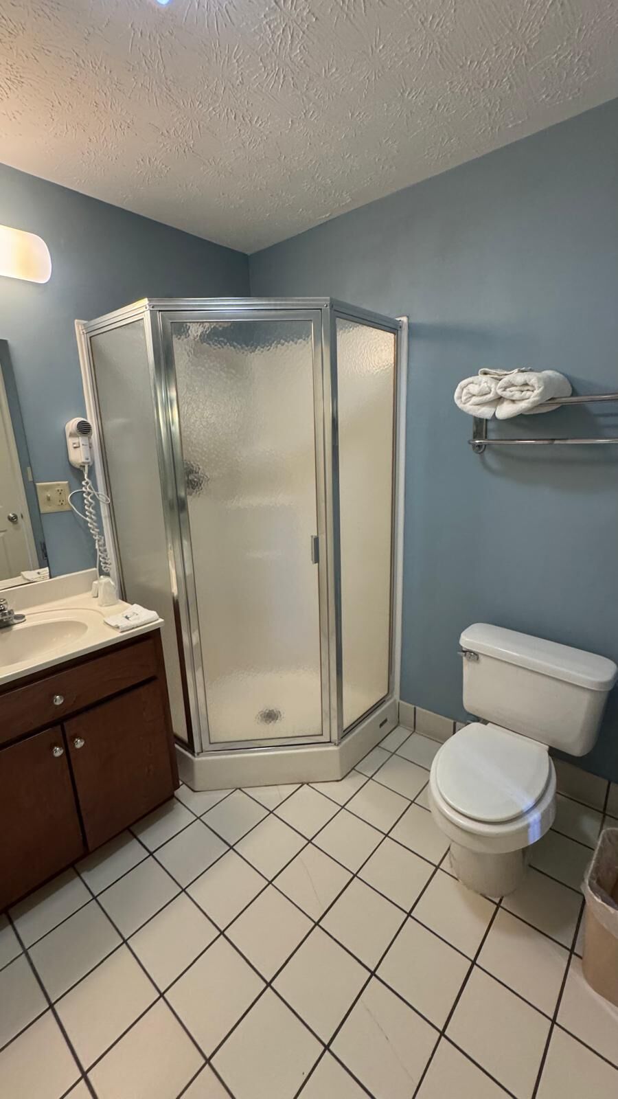 A bathroom with a glass-enclosed shower, a toilet, a sink with a mirror, and a towel rack.