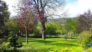 Une zone verdoyante bien entretenue, avec des arbres et des arbustes, qui fait probablement partie d’un parc ou d’un jardin.