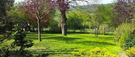 A well-maintained grassy area with trees and shrubs, likely part of a park or garden setting.