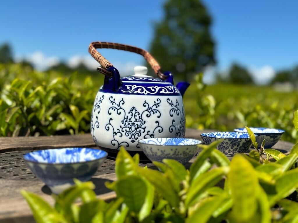 A teapot with a handle and a matching teacup set on a table with green plants in the background.