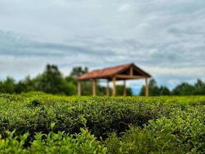 A structure in a field with a clear sky. - Tea Gezruli (Gezruli)